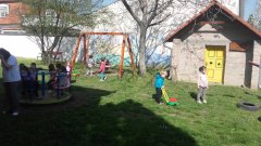 20180412_101104.jpg
